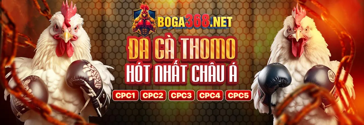 Sân vận động bóng đá sôi động, Kèo Bong 88 cá cược thể thao